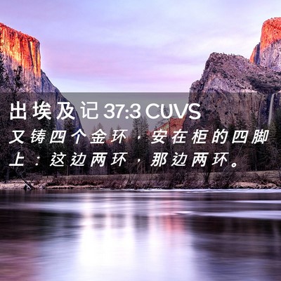 Picture 02 - 出 埃 及 记 37:3 CUVS - 又 铸 四 个 金 环 ， 安 在 柜 的 四 - Bible Verse Picture