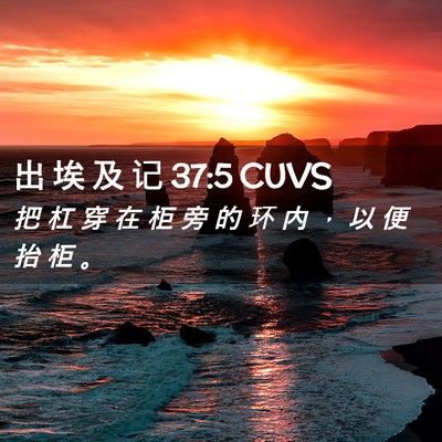 Picture 02 - 出 埃 及 记 37:5 CUVS - 把 杠 穿 在 柜 旁 的 环 内 ， 以 便 - Bible Verse Picture