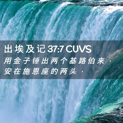 Picture 02 - 出 埃 及 记 37:7 CUVS - 用 金 子 锤 出 两 个 基 路 伯 来 ， - Bible Verse Picture