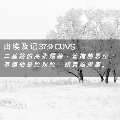 Picture 02 - 出 埃 及 记 37:9 CUVS - 二 基 路 伯 高 张 翅 膀 ， 遮 掩 施 - Bible Verse Picture