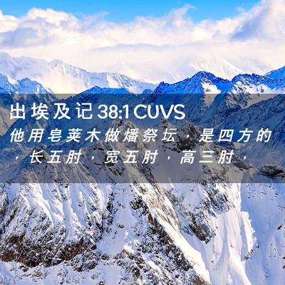 Picture 02 - 出 埃 及 记 38:1 CUVS - 他 用 皂 荚 木 做 燔 祭 坛 ， 是 四 - Bible Verse Picture