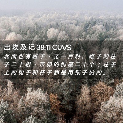Picture 02 - 出 埃 及 记 38:11 CUVS - 北 面 也 有 帷 子 ， 宽 一 百 肘 。 - Bible Verse Picture