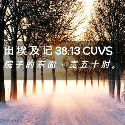 Picture 02 - 出 埃 及 记 38:13 CUVS - 院 子 的 东 面 ， 宽 五 十 肘 - Bible Verse Picture