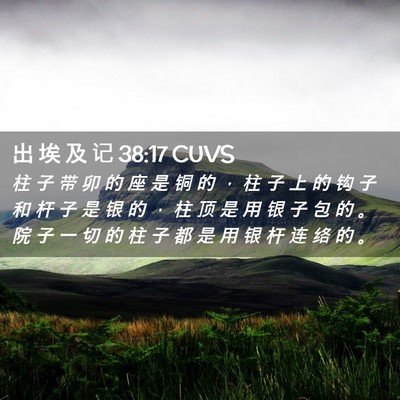 Picture 02 - 出 埃 及 记 38:17 CUVS - 柱 子 带 卯 的 座 是 铜 的 ， 柱 子 - Bible Verse Picture