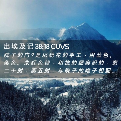 Picture 02 - 出 埃 及 记 38:18 CUVS - 院 子 的 门 ? 是 以 绣 花 的 手 工 ， - Bible Verse Picture