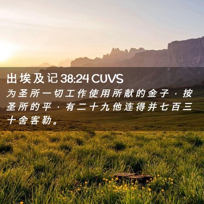 Picture 02 - 出 埃 及 记 38:24 CUVS - 为 圣 所 一 切 工 作 使 用 所 献 的 - Bible Verse Picture