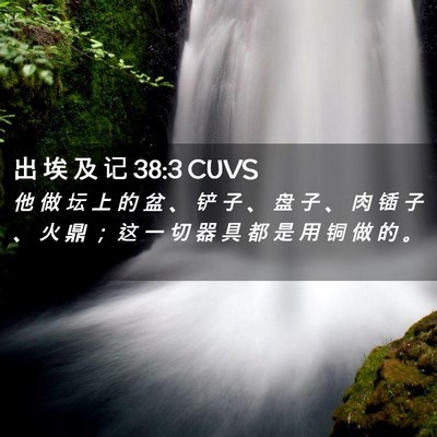 Picture 02 - 出 埃 及 记 38:3 CUVS - 他 做 坛 上 的 盆 、 铲 子 、 盘 子 - Bible Verse Picture