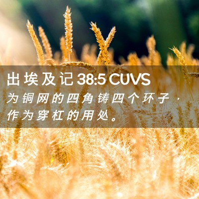 Picture 02 - 出 埃 及 记 38:5 CUVS - 为 铜 网 的 四 角 铸 四 个 环 子 ， - Bible Verse Picture