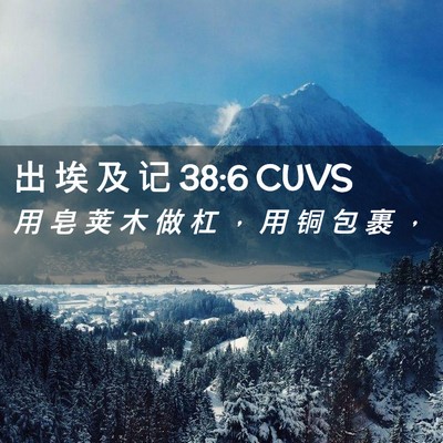 Picture 02 - 出 埃 及 记 38:6 CUVS - 用 皂 荚 木 做 杠 ， 用 铜 包 裹 - Bible Verse Picture