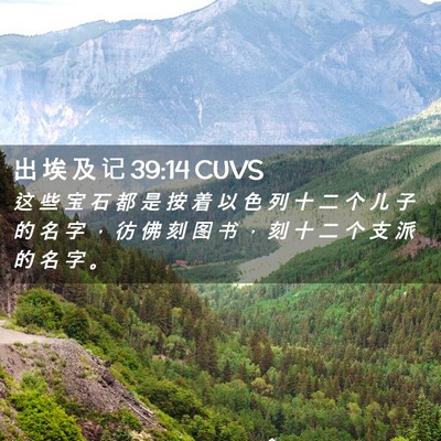 Picture 02 - 出 埃 及 记 39:14 CUVS - 这 些 宝 石 都 是 按 着 以 色 列 十 - Bible Verse Picture