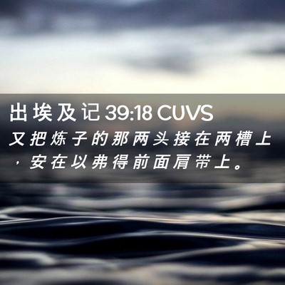 Picture 02 - 出 埃 及 记 39:18 CUVS - 又 把 炼 子 的 那 两 头 接 在 两 槽 - Bible Verse Picture