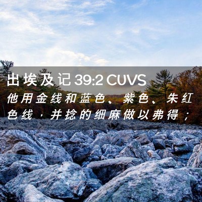 Picture 02 - 出 埃 及 记 39:2 CUVS - 他 用 金 线 和 蓝 色 、 紫 色 、 朱 - Bible Verse Picture