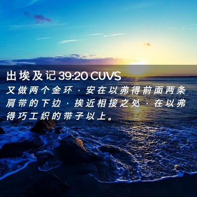 Picture 02 - 出 埃 及 记 39:20 CUVS - 又 做 两 个 金 环 ， 安 在 以 弗 得 - Bible Verse Picture