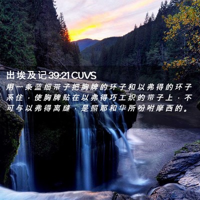 Picture 02 - 出 埃 及 记 39:21 CUVS - 用 一 条 蓝 细 带 子 把 胸 牌 的 环 - Bible Verse Picture