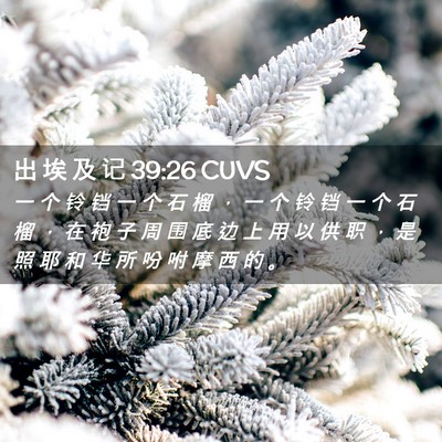 Picture 02 - 出 埃 及 记 39:26 CUVS - 一 个 铃 铛 一 个 石 榴 ， 一 个 铃 - Bible Verse Picture
