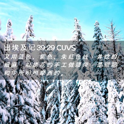 Picture 02 - 出 埃 及 记 39:29 CUVS - 又 用 蓝 色 、 紫 色 、 朱 红 色 线 - Bible Verse Picture