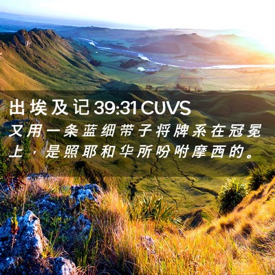 Picture 02 - 出 埃 及 记 39:31 CUVS - 又 用 一 条 蓝 细 带 子 将 牌 系 在 - Bible Verse Picture