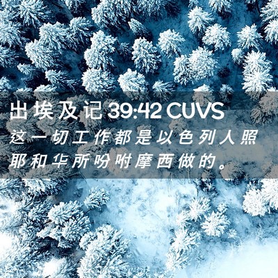 Picture 02 - 出 埃 及 记 39:42 CUVS - 这 一 切 工 作 都 是 以 色 列 人 照 - Bible Verse Picture