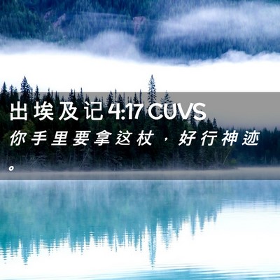 Picture 02 - 出 埃 及 记 4:17 CUVS - 你 手 里 要 拿 这 杖 ， 好 行 神 迹 - Bible Verse Picture