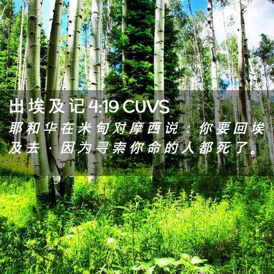 Picture 02 - 出 埃 及 记 4:19 CUVS - 耶 和 华 在 米 甸 对 摩 西 说 ： 你 - Bible Verse Picture
