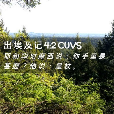Picture 02 - 出 埃 及 记 4:2 CUVS - 耶 和 华 对 摩 西 说 ： 你 手 里 是 - Bible Verse Picture