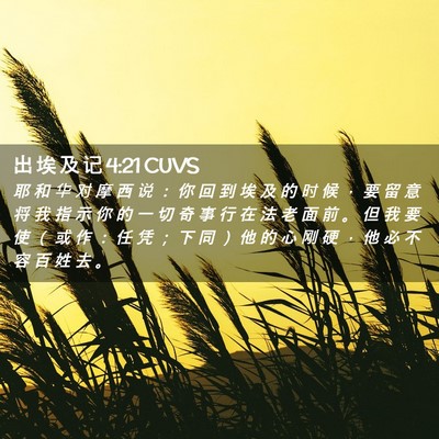 Picture 02 - 出 埃 及 记 4:21 CUVS - 耶 和 华 对 摩 西 说 ： 你 回 到 埃 - Bible Verse Picture