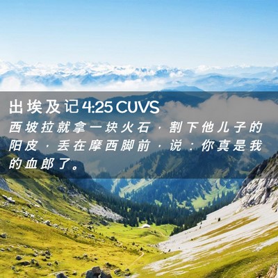 Picture 02 - 出 埃 及 记 4:25 CUVS - 西 坡 拉 就 拿 一 块 火 石 ， 割 下 - Bible Verse Picture