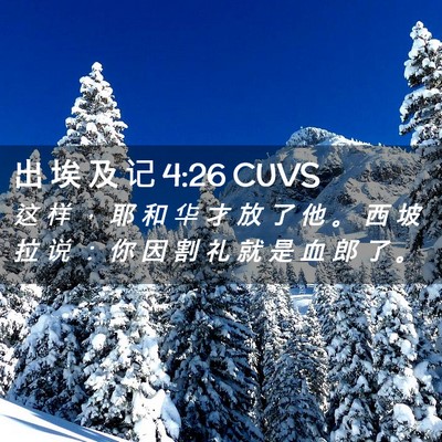 Picture 02 - 出 埃 及 记 4:26 CUVS - 这 样 ， 耶 和 华 才 放 了 他 。 西 - Bible Verse Picture