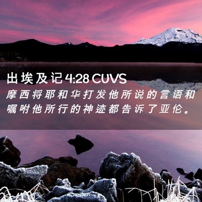 Picture 02 - 出 埃 及 记 4:28 CUVS - 摩 西 将 耶 和 华 打 发 他 所 说 的 - Bible Verse Picture