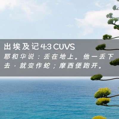 Picture 02 - 出 埃 及 记 4:3 CUVS - 耶 和 华 说 ： 丢 在 地 上 。 他 一 - Bible Verse Picture