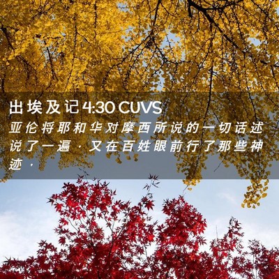 Picture 02 - 出 埃 及 记 4:30 CUVS - 亚 伦 将 耶 和 华 对 摩 西 所 说 的 - Bible Verse Picture