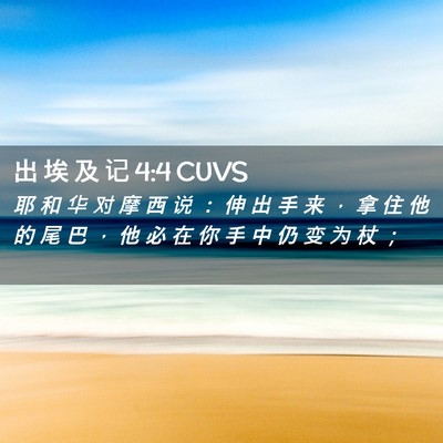 Picture 02 - 出 埃 及 记 4:4 CUVS - 耶 和 华 对 摩 西 说 ： 伸 出 手 来 - Bible Verse Picture