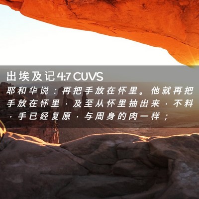 Picture 02 - 出 埃 及 记 4:7 CUVS - 耶 和 华 说 ： 再 把 手 放 在 怀 里 - Bible Verse Picture