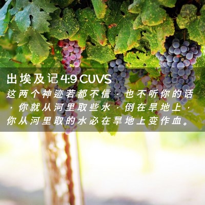 Picture 02 - 出 埃 及 记 4:9 CUVS - 这 两 个 神 迹 若 都 不 信 ， 也 不 - Bible Verse Picture