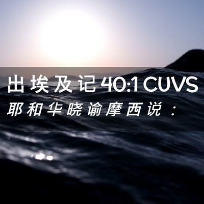 Picture 02 - 出 埃 及 记 40:1 CUVS - 耶 和 华 晓 谕 摩 西 说 - Bible Verse Picture