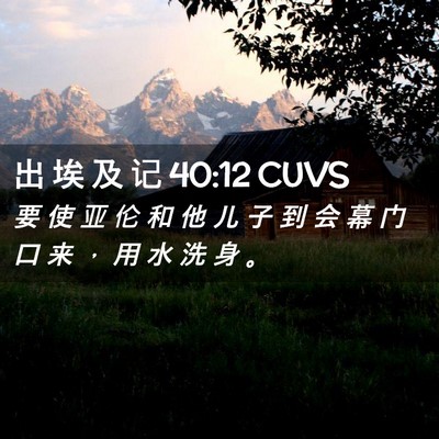 Picture 02 - 出 埃 及 记 40:12 CUVS - 要 使 亚 伦 和 他 儿 子 到 会 幕 门 - Bible Verse Picture