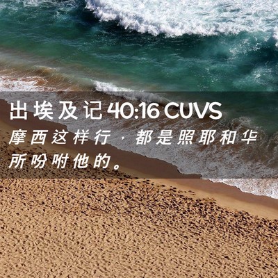 Picture 02 - 出 埃 及 记 40:16 CUVS - 摩 西 这 样 行 ， 都 是 照 耶 和 华 - Bible Verse Picture
