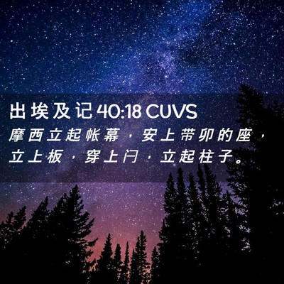 Picture 02 - 出 埃 及 记 40:18 CUVS - 摩 西 立 起 帐 幕 ， 安 上 带 卯 的 - Bible Verse Picture