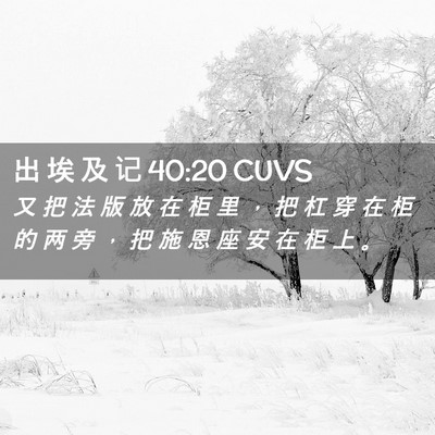 Picture 02 - 出 埃 及 记 40:20 CUVS - 又 把 法 版 放 在 柜 里 ， 把 杠 穿 - Bible Verse Picture