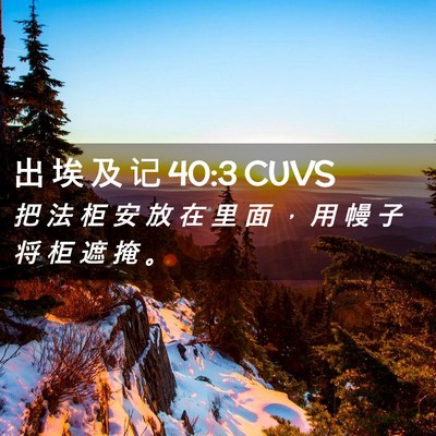 Picture 02 - 出 埃 及 记 40:3 CUVS - 把 法 柜 安 放 在 里 面 ， 用 幔 子 - Bible Verse Picture