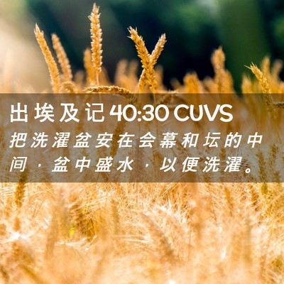 Picture 02 - 出 埃 及 记 40:30 CUVS - 把 洗 濯 盆 安 在 会 幕 和 坛 的 中 - Bible Verse Picture