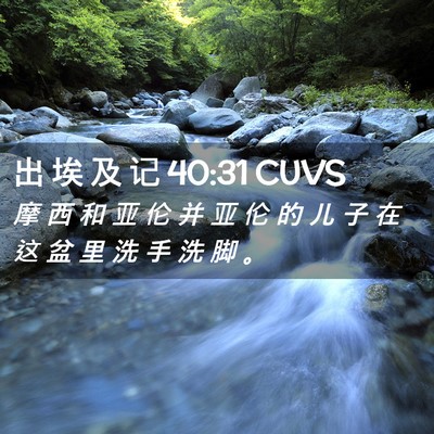 Picture 02 - 出 埃 及 记 40:31 CUVS - 摩 西 和 亚 伦 并 亚 伦 的 儿 子 在 - Bible Verse Picture