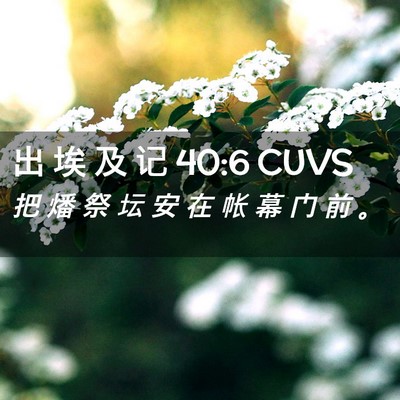 Picture 02 - 出 埃 及 记 40:6 CUVS - 把 燔 祭 坛 安 在 帐 幕 门 前 - Bible Verse Picture