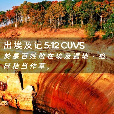 Picture 02 - 出 埃 及 记 5:12 CUVS - 於 是 百 姓 散 在 埃 及 遍 地 ， 捡 - Bible Verse Picture