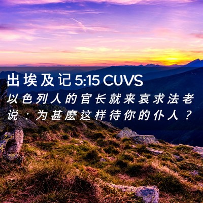 Picture 02 - 出 埃 及 记 5:15 CUVS - 以 色 列 人 的 官 长 就 来 哀 求 法 - Bible Verse Picture