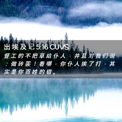 Picture 02 - 出 埃 及 记 5:16 CUVS - 督 工 的 不 把 草 给 仆 人 ， 并 且 - Bible Verse Picture