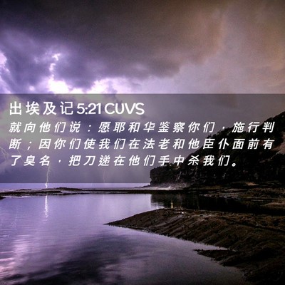 Picture 02 - 出 埃 及 记 5:21 CUVS - 就 向 他 们 说 ： 愿 耶 和 华 鉴 察 - Bible Verse Picture