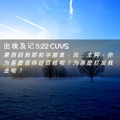 Picture 02 - 出 埃 及 记 5:22 CUVS - 摩 西 回 到 耶 和 华 那 里 ， 说 ： - Bible Verse Picture
