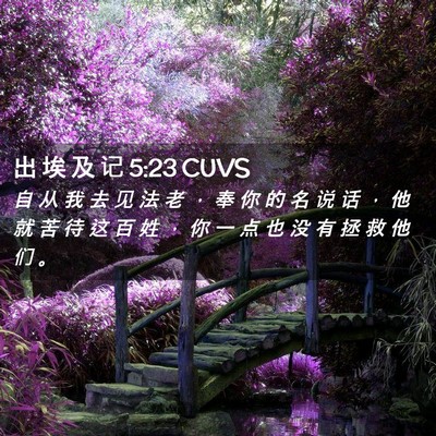 Picture 02 - 出 埃 及 记 5:23 CUVS - 自 从 我 去 见 法 老 ， 奉 你 的 名 - Bible Verse Picture