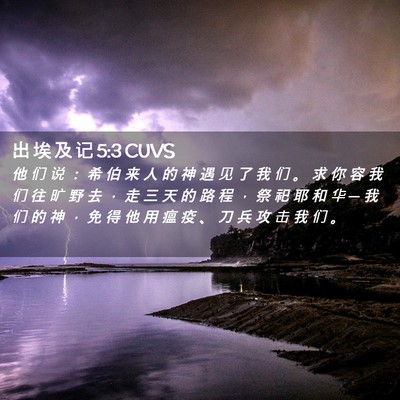 Picture 02 - 出 埃 及 记 5:3 CUVS - 他 们 说 ： 希 伯 来 人 的 神 遇 见 - Bible Verse Picture